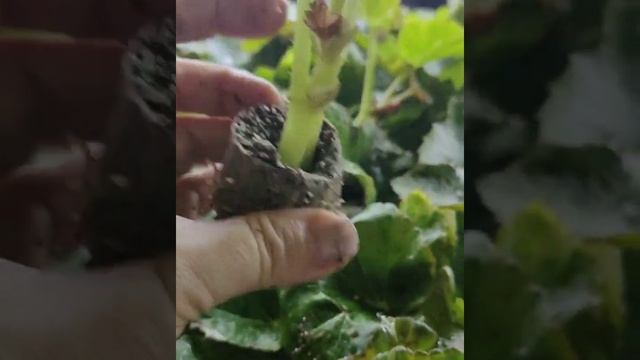 Пришёл октябрьский заказ