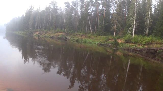 Река Гауя, рыбалка на поплавок и фидер в туман. Cope Gaujā Uz
