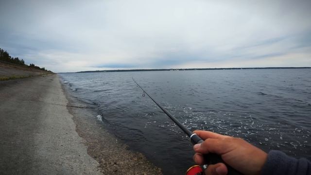 Найкращі приманки для жереха які РЕАЛЬНО працюють!
