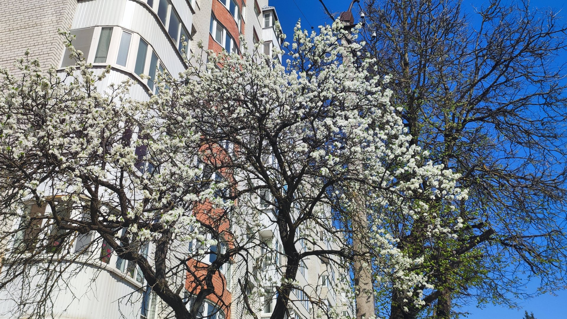 2025-06-13 смотреть онлайн