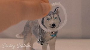 долгожданная посылка! новая фигурка Husky papo 2014!