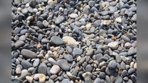 Пляжи Черного моря до мазута