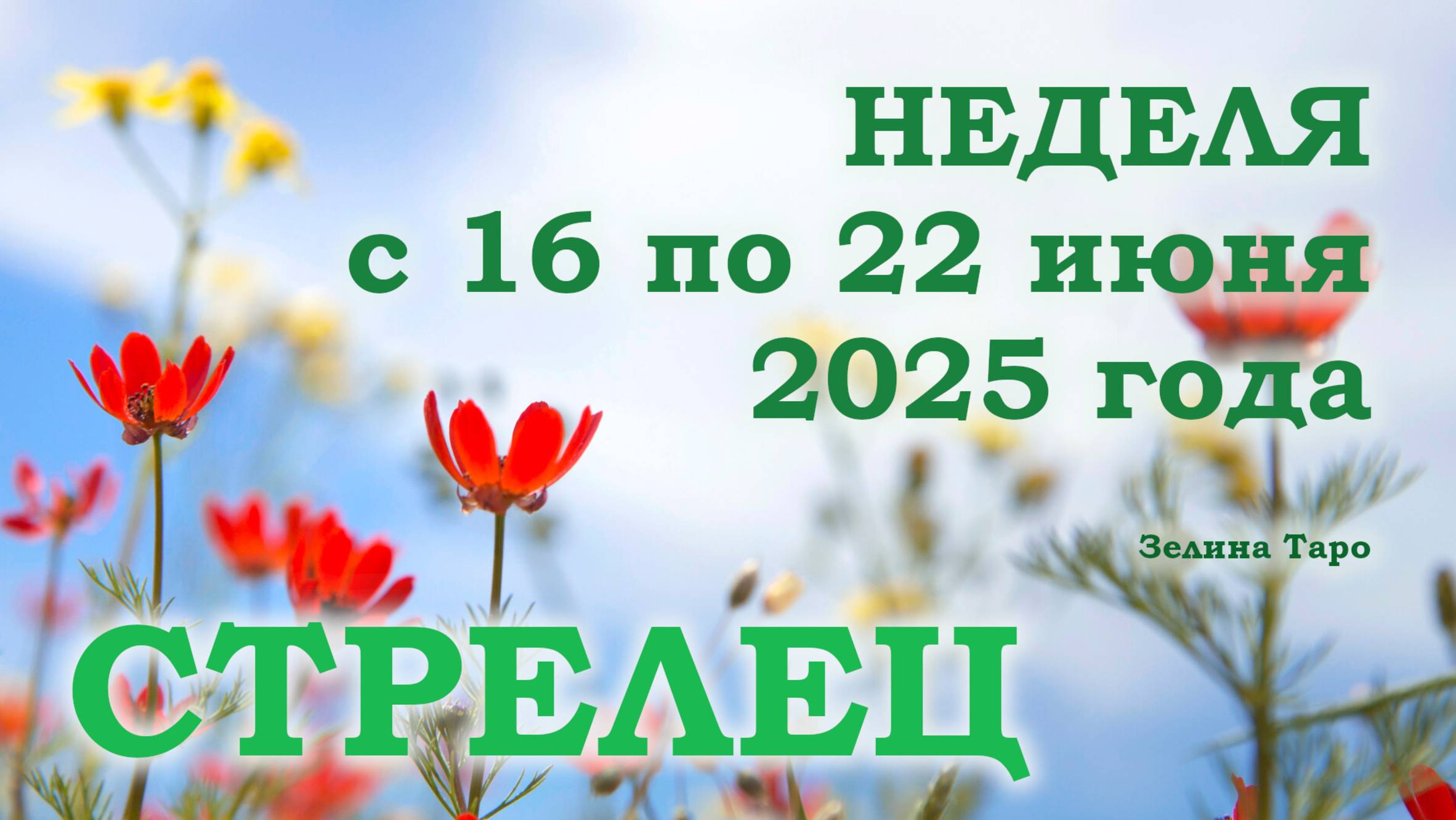 СТРЕЛЕЦ | ТАРО прогноз на неделю с 16 по 22 июня 2025 года
