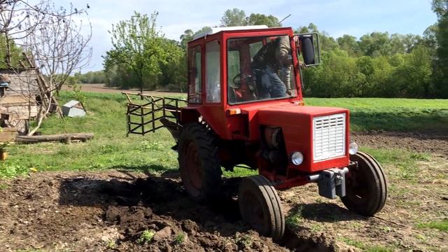 Оранка (пахота) 50-ти річним трактором, плугом від  т40