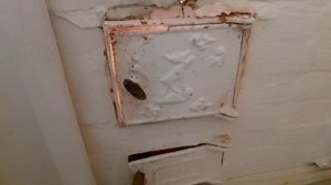 Дача🏡/Работа на даче#дача #сделай #дела #своими #garden #с?