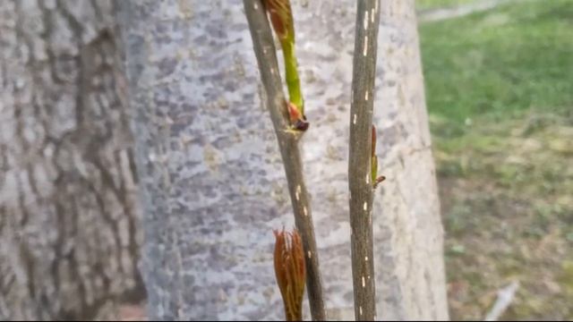 Она поставила чайник. Мы сидели на кухне смотреть онлайн