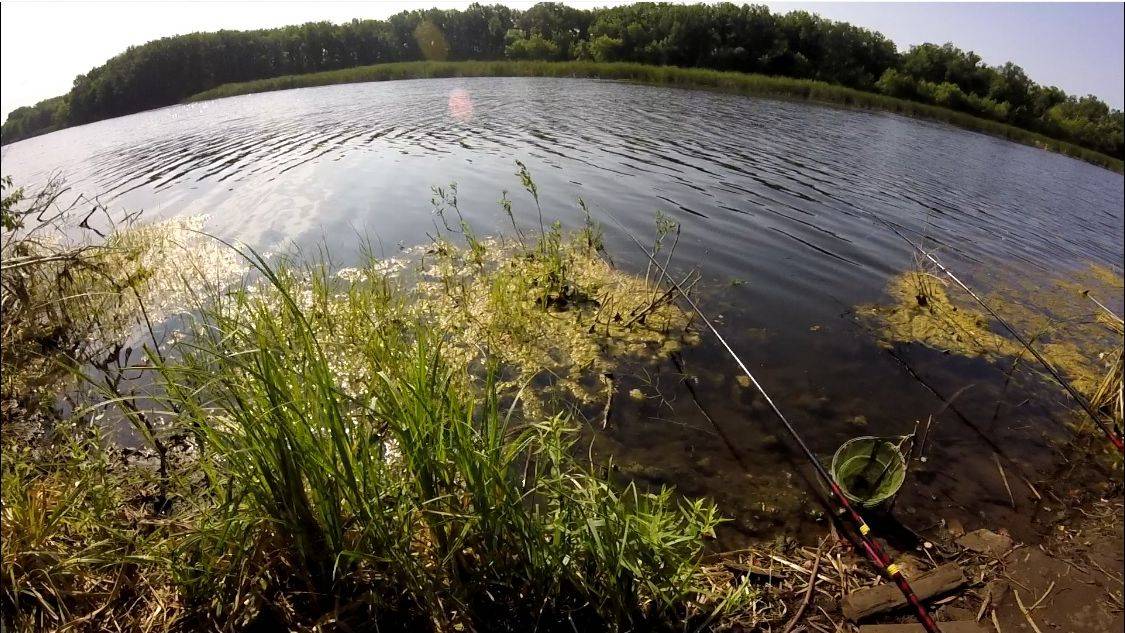 Рыбалка на удочку смотреть онлайн