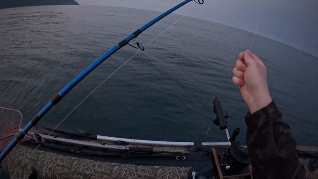 Троллинг симы в Заливе Восток!