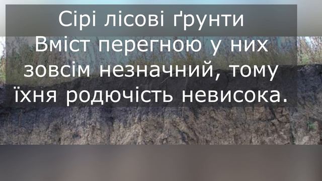 Чому ґрунти є важливим природним ресурсом України. ЯД?