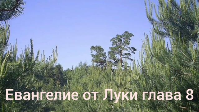 Библия Евангелие от Луки глава 8 смотреть онлайн