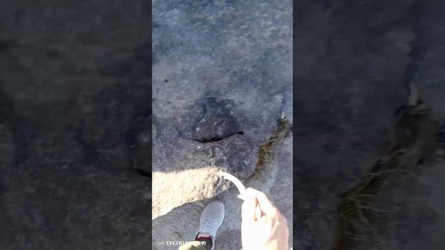 Кто и зачем рушит горы Алтая? remix топ 1mviews