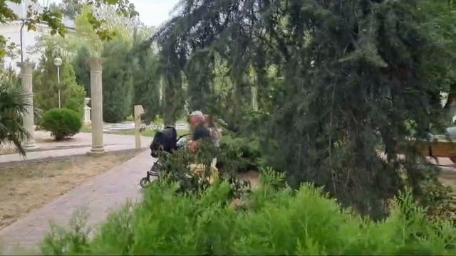 Геленджик в сентябре 2024. Погода. Обзор отеля #наморе #р? смотреть онлайн