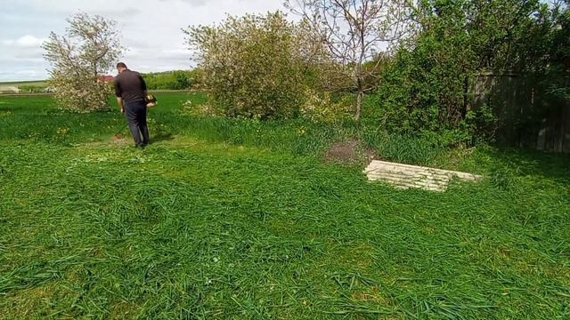 Сколько я скосил на 1л бензина???#бензотриммер #бензоко?