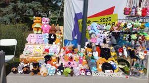 Ярмарка на День города/новый оптовый заказ/дача, птичка и бассейн