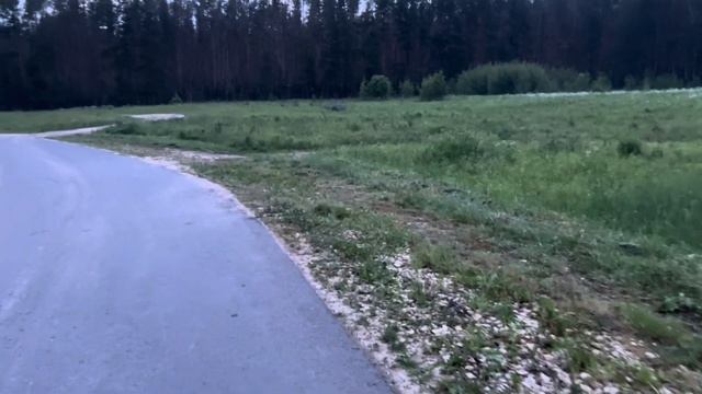 СДЕЛАЛИ ПЕСОЧНИЦУ 🥳 МНОГО ГУЛЯЕМ 😍 МОИ ПЕРВЫЕ ПОСАД?