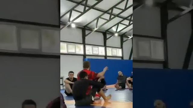 Ислам Махачев погоня: Тагир суета в Махачкале Умар сбо