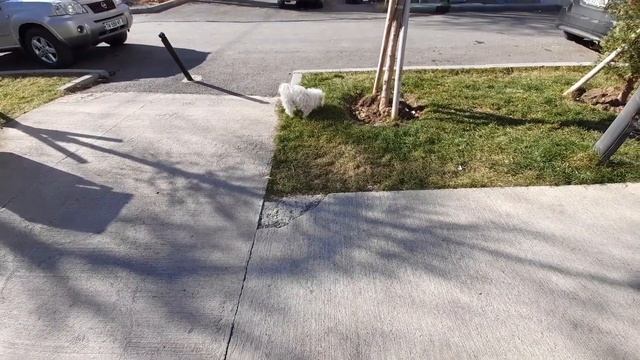 Декабрист расцвел Отдыхаю в парке) Как чувствуют себя