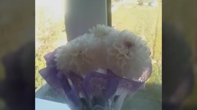 Слайд шоу классно всем смотреть