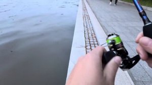 Дикий карась в городе! Чуть не порвал катушку! Адреналин на городской реке летом 2025