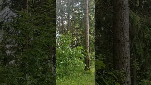 (14) Евангелие от Иоанна глава 4 стих 27-42 смотреть онлайн