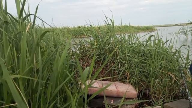 на рыбалке смотреть онлайн