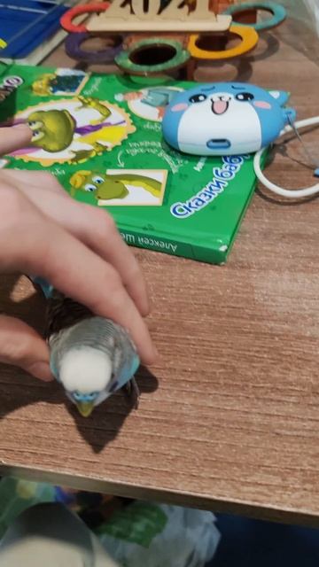 Новый тренд? смотреть онлайн