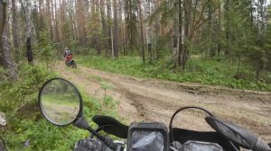 на regulmoto cr-x 300 pro на  Дыроватик