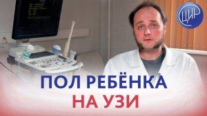 Пол ребёнка на УЗИ. Может ли УЗИ ошибаться с полом ребёнка? Врач УЗД ЦИР Воеводин Ф.С.