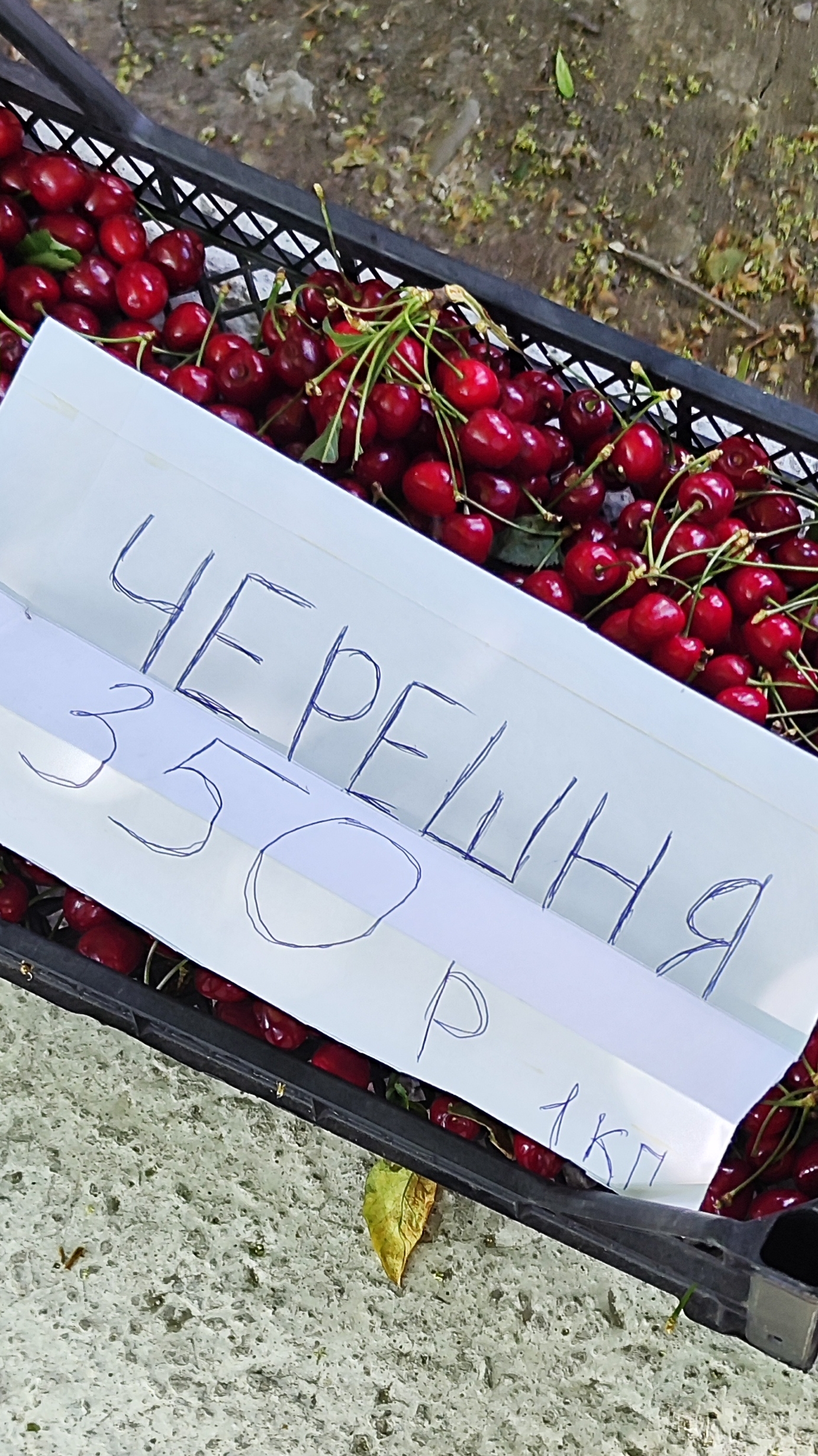 Цены в Крыму смотреть онлайн