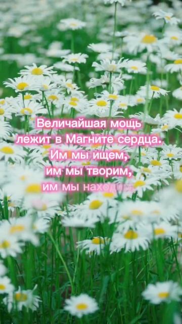 #агнийога #живая_этика #сердце #мудрость_великих_учителей #мудрость смотреть онлайн