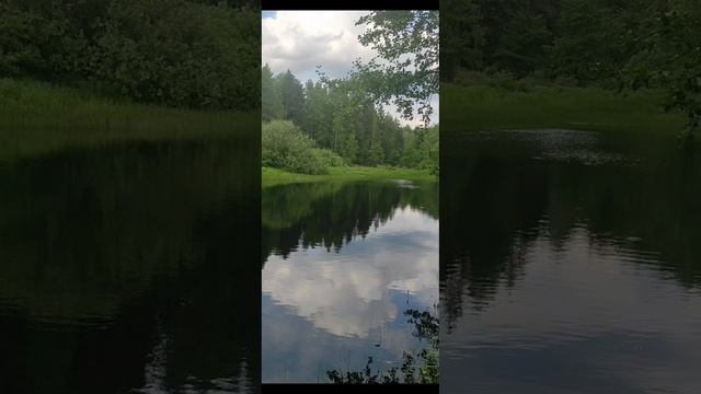 (9) Евангелие от Иоанна глава 3 стих 1-12 смотреть онлайн