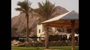 Отель ТРОПИТЕЛЬ ДАХАБ ОАЗИС. Tropitel Dahab Oasis 4. Отдых в ЕГИПТЕ.  КРАСНОЕ МОРЕ.