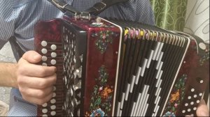 Стоп музыка. Разбор на гармони.