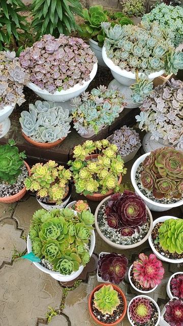 Лей, лей, не жалей 💦💦💦☔ смотреть онлайн