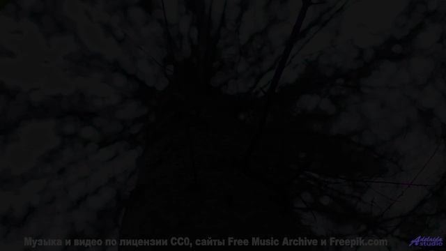 Эта музыка сливается с природой! - Chemistry -- Makaih Beats -- Chemistry