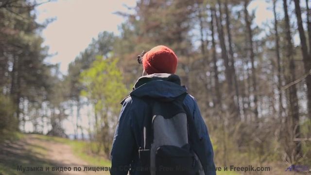 Кто играет на листьях ночью - Vibes Of The Universe (ID 1394) -- Lobo Loco -- Spaceforce OMEGA