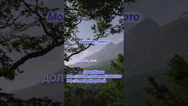 Молчание - золото #агнийога #живаяэтика https://youtu.be/J6jfD2KjVPc?si=-qytFGida9gbQfjl смотреть онлайн