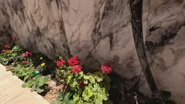 Уход Сами вызвал печаль на лице Тайибы и осложнил ей жизнь. смотреть онлайн