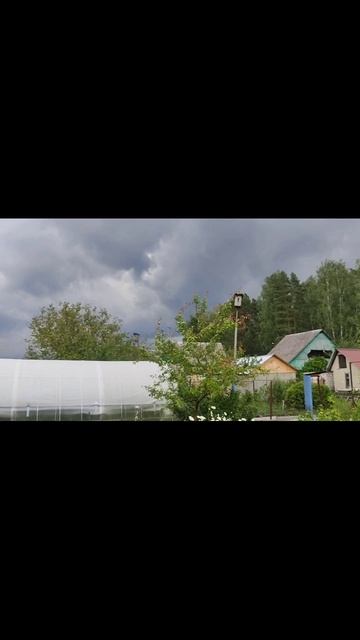 Летний дождь смотреть онлайн