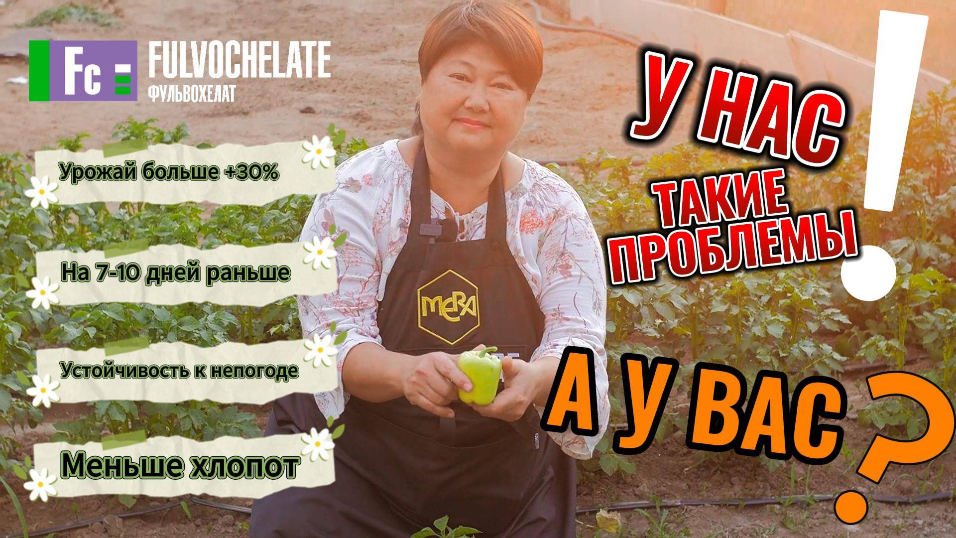 Трудности, когда Вы регулярно применяете фульвокислоты в своем саду и огороде.