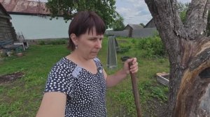 Обычная сельская жизнь. Середина июня, а огород пустой