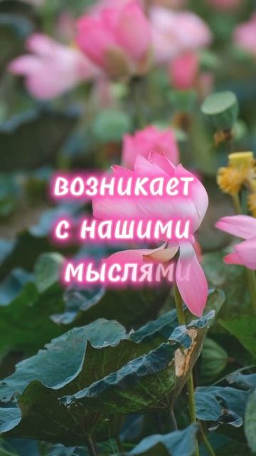 #агнийога #живая_этика #знания #мудрость_великих_учителей #мудрость смотреть онлайн