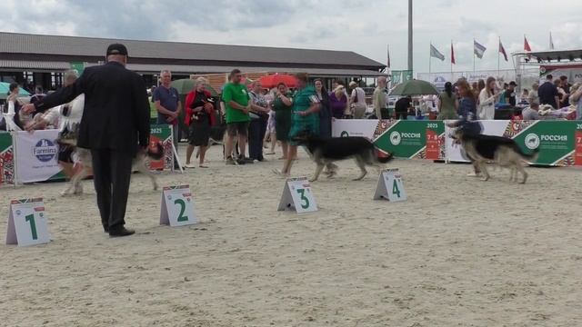 Сравнение на ЛК смотреть онлайн