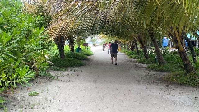 Индийский океан, остров на Мале | Эглет