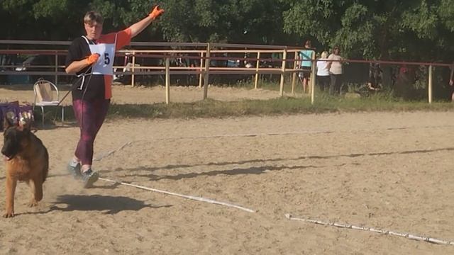 ЩЕНКИ КОБЕЛИ / КЧК НОВОРОССИЙСК 13 июня`25 Ю.Овсянникова Моно немецких овчарок