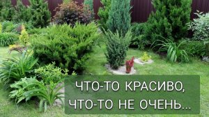 ЧТО-ТО КРАСИВО, ЧТО-ТО НЕ ОЧЕНЬ...12.06.2025г.