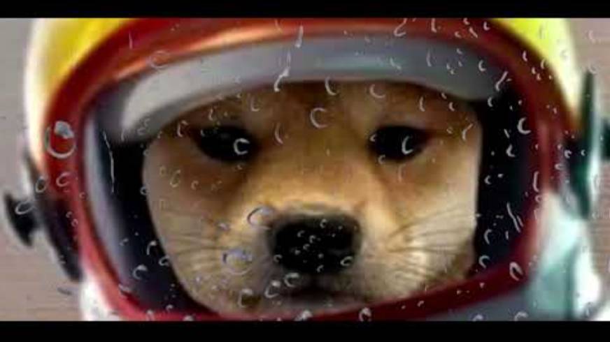 Когда у Тебя Нет Друзей... _ Beluga [Русская Озвучка] смотреть онлайн