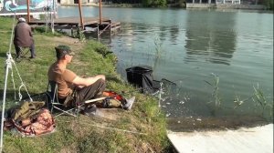 Весенняя рыбалка на Старой Кубани: Тиляпия на фидер и море азарта!