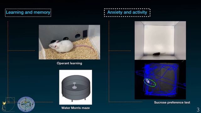 Cognitive Functions In Mice With Traumatic Brain Injuries
