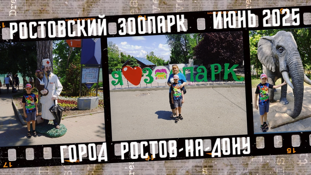 Ростовский зоопарк, город Ростов-на-Дону. Июнь 2025. смотреть онлайн